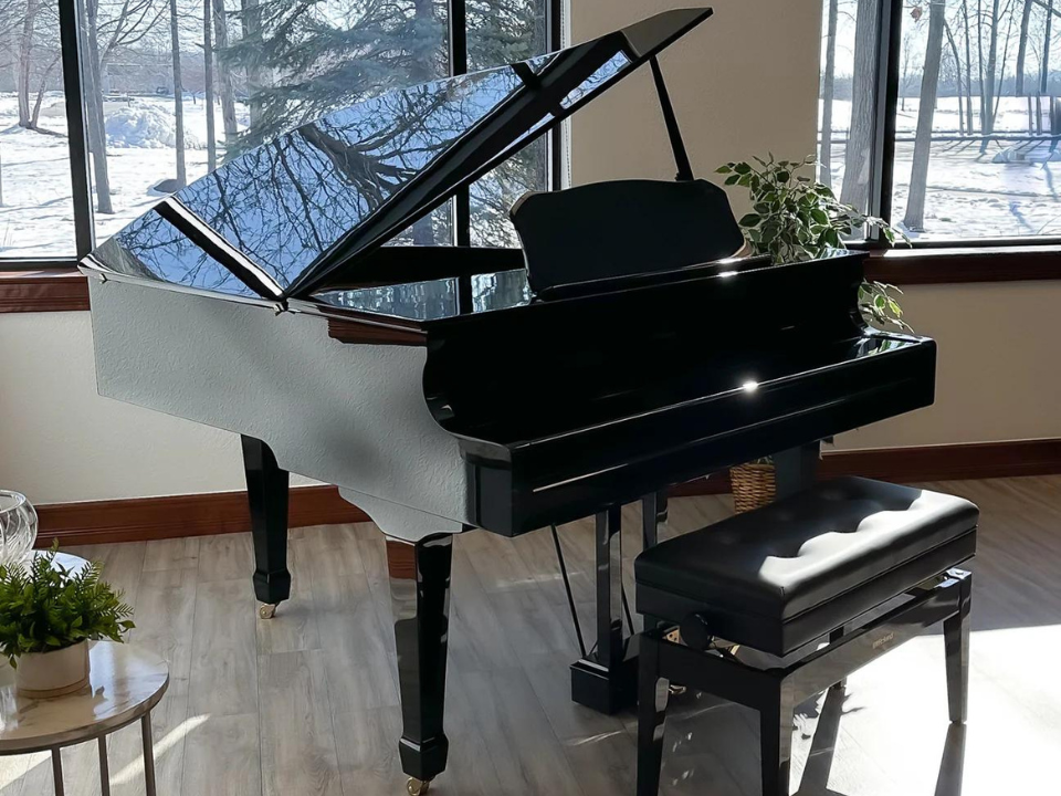 Cận cảnh Roland GP-609 PE tại Piano House